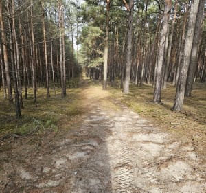 Jezioro w kuźnicy przez lasy - Nądnia - 2