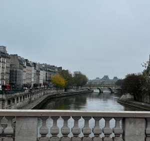 Balade sympa à Paris - bruno - 4