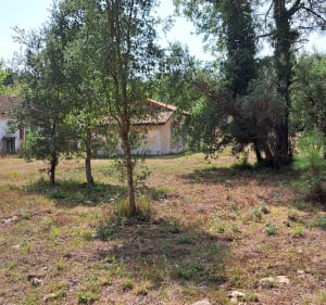 De Vielle à Contis en passant par la forêt landaise - Vielle-Saint-Girons - 2