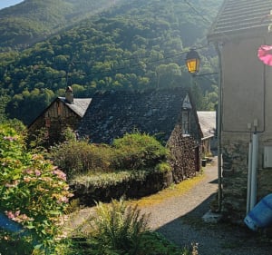 Ustou - rives de l'Alet - Ustou - 2