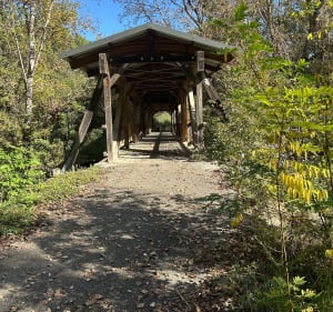Routete de Forcalquier et route de Niozelle - Villeneuve - 2