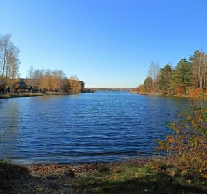 55 kilometrową trasa z Radzionkowa na Kalety Zielonom. - Radzionków - 3