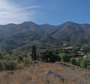 Autour de Montesquieu-des-Albères - Montesquieu-des-Albères - 2