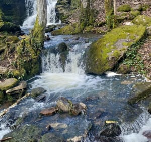 De la cascade de La Pissoire à la fontaine Bayard - Saint-Sernin-du-Bois - 2