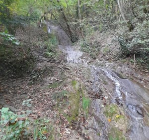 Balade à la Colline Mûrier - Jose - 3