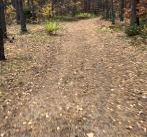 Gravel ride - Yan - 3