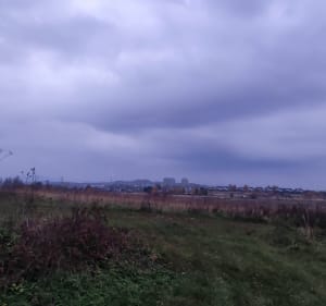 Trasa wśród zbóż i kukurydzy - Libiąż - 2