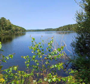 Autour du bois de Crozat (lac de Vassiviere) - Peyrat-le-Château - 2