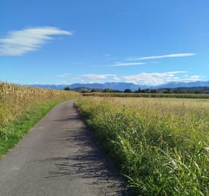 Chemin du gave Asson à Pau - Asson - 2
