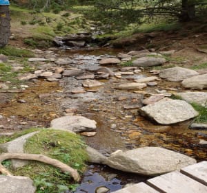 Balade en forêt de Font-Romeu avec des belles vues - Font-Romeu-Odeillo-Via - 2