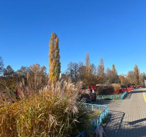 Lasek na Kole przez 2 parki - Warszawa - 2