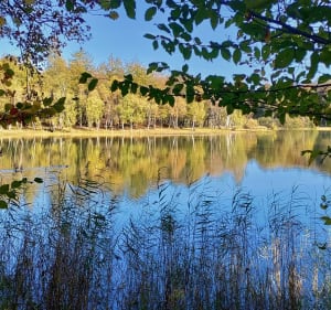 Balade dans les bois de Chambaran - Laura - 4