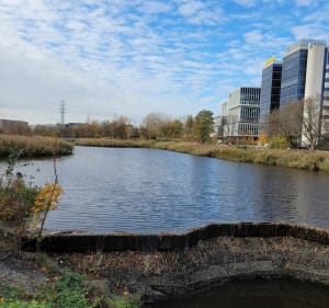 Staw Służewiecki i okolice warszawskiego Ursynowa - Warszawa - 2