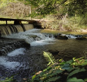 Aux sources du Dourzon - Nant - 2