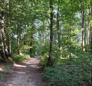 Balade vers l'étang du Vivier - Valencogne - 2