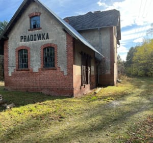 Lasami Ze Zbąszynia przez Przychodzko i Prądowkę - Nowy Dwór - 2