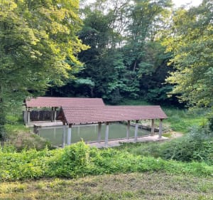 Château de Demptezieu et lavoir de Chapèze - Bourgoin-Jallieu - 2