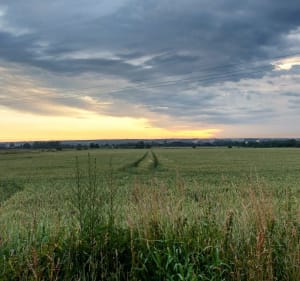 Gravelowa pętla ze skweru Kezmarok - Gliwice - 2