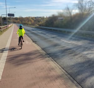Dookoła Olszaków i Jeziora Swarzędzkiego - Poznań - 2