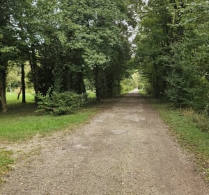Entre Talmay et Heuilley-sur-Saône - Clement - 4