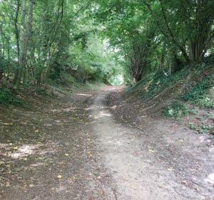 Par les vieux chemins de Valenciennes - Quérénaing - 2