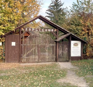 Cichowo plaże , las , jezioro i skansen. - Cichowo - 5