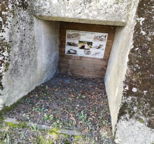 Les pelouses calcaires au départ de Marieulles - Marieulles - 2