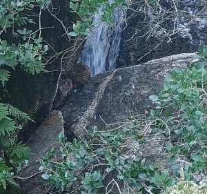 Randonnée "Les 25 ponts" Roquebrune/Argens  7km - Roquebrune-sur-Argens - 2
