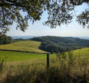 Entre prés et forêts autour du Buenne - Clairvaux-d'Aveyron - 2