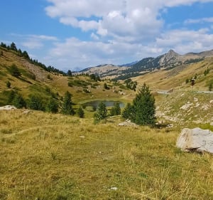 Du Relais Napoléon au sommet du Col de Vars - Vars - 2