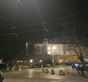 Spacer szlakiem cmentarzy żydowskich w krakowskim Kazimierzu - Karol - 3