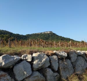 Le Rocher du Causse et son belvédère - CAROLE - 3