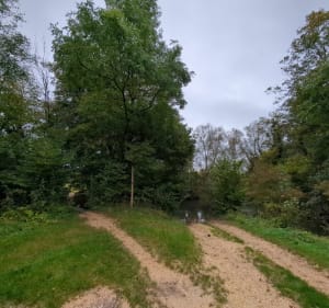 Boucle Chevigny-Couternon - Christophe - 3