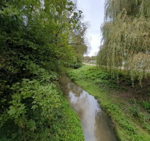 Boucle Chevigny-Couternon - Chevigny-Saint-Sauveur - 2