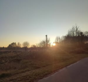 Widokowa trasa rowerowa Piaski-Szczygliczka - Ostrów Wielkopolski - 3
