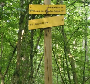 Randonnée sur St-Firmin - Saint-Firmin - 2