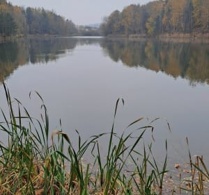 Cegielnia Kozłowa Góra - Aleksandra - 2
