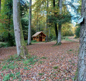 Randonnée par Greifenstein et Fontaine Mélanie - Saverne - 2