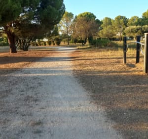 Promenade de santé sur Garons, par les Costières - Garons - 2