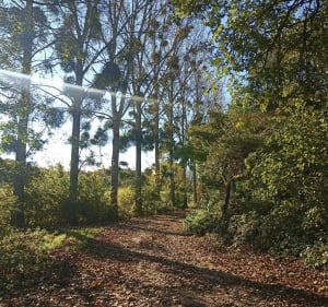 Superbe point de vue sur le Barsuraubois - Ailleville - 2