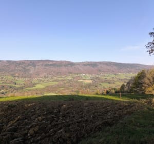 Plateaux des Bornes - Arbusigny - 2