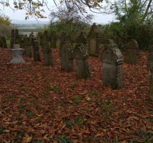Balade dans la campagne de Villers-Stoncourt - Villers-Stoncourt - 2