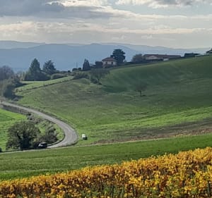 De Lacenas à Oingt - Lacenas - 2