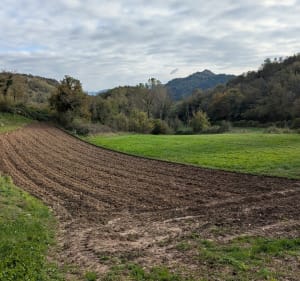 Balade de la roche percée, par l'Epinenaie - Colomieu - 2