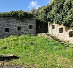 Balade au fort du Dellec - Cecilia - 3
