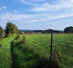 Balade autour de Léguillac de l'Auche - Léguillac-de-l'Auche - 2