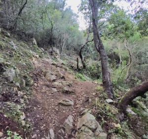 Balade  sur la crête - Ajaccio - 2