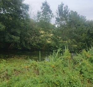 Vallée de la Boëme et ses hameaux monastériens - Mouthiers-sur-Boëme - 2