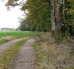 Bellefontaine par Jaillerey, les Duchenes - Bellefontaine - 2