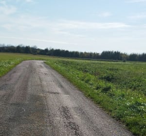 Balade dans les champs Saint Apo - Varois - Quetigny - Quetigny - 2